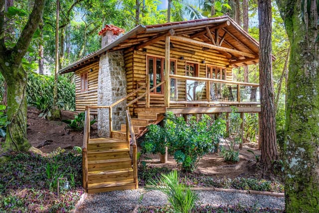 Bacon ipsum dolor amet pig short ribs beef, capicola kielbasa ground round rump strip steak flank ribeye buffalo drumstick.